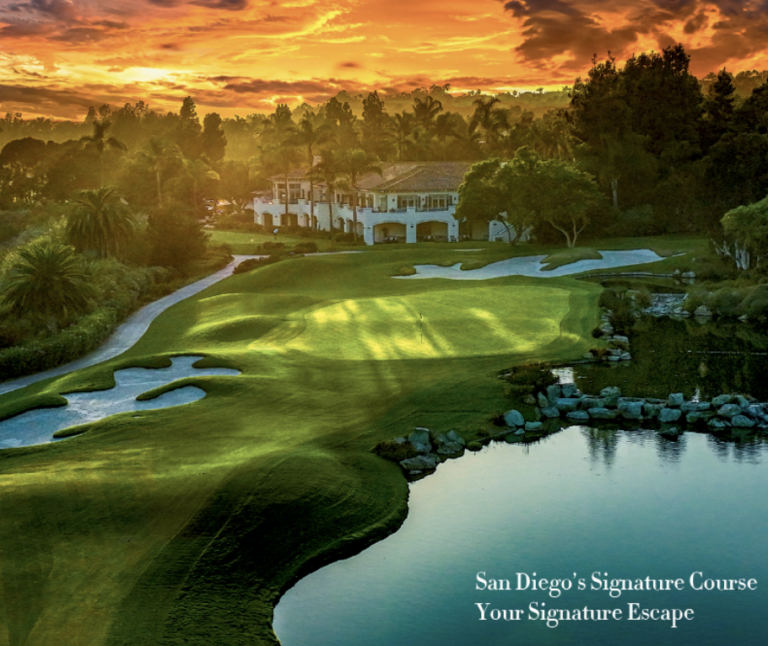 Screenshot 2026-02-11 at 4.05